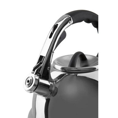 Mirrored 3.2 Ltr Whistling Kettle | Zion