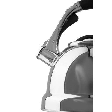 Mirrored 3.2 Ltr Whistling Kettle | Zion