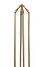 Kitchen Roll Holder with Matte Gold Finish | Vertex