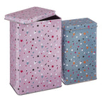 Set of 2 Stellar Storage Canisters | Paice
