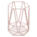 Pink Finish Utensil Holder | Vertex