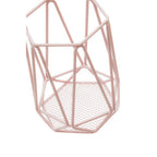 Pink Finish Utensil Holder | Vertex