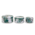 Winter Palm Cake Storage Tins Set Of 3