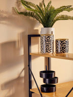 Medium Canister | London Leo