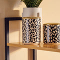 Large Canister | London Leo