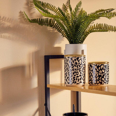 Large Canister | London Leo