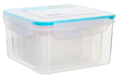 4 Piece Square Food Containers with Airtight Lids | Herrela