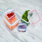 4 Piece Food Containers with Airtight Lids | Herrela