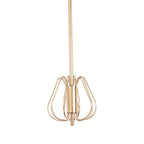 Press And Spin Light Gold 35Cm Whisk | Zamin