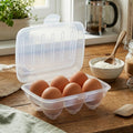 Six Egg Box | Romm