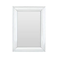 Thick Silver Frame Rectangular Wall Mirror | Petillo
