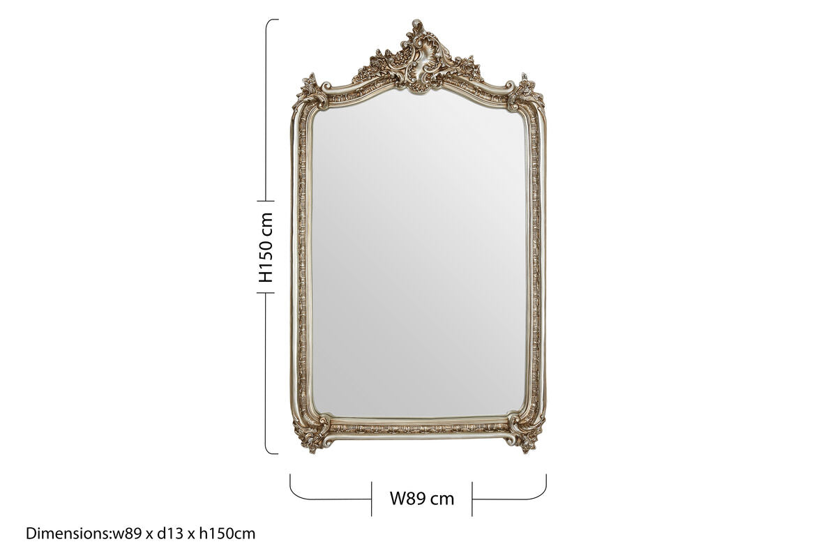 Ornate Champagne Wall Mirror | Adelere