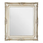 Ornate Acanthus Leaf Wall Mirror | Adelere