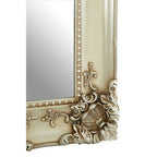 Ornate Silver Frame Wall Mirror | Cara