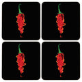 Set of Four Coasters | Flaming Chilli