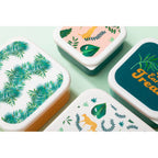 Set of 4 Winter Palm Lunch Boxes | Mimo