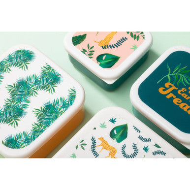 Set of 4 Winter Palm Lunch Boxes | Mimo