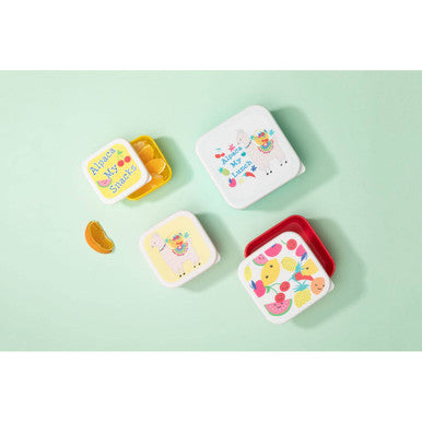 Set of 4 Fruity Alpaca Lunch Box | Mimo