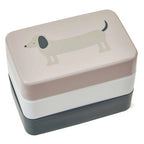 Dog Lunch Box with Cutlery | Grub Tub