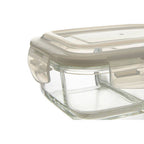 Freska 2 Section Square Glass Container With Lid 520 Ml
