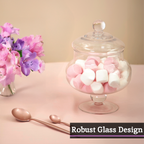 Olivia Clear Glass Candy Small Storage Jar - Nest UK