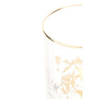 Lion Tumbler | Nomi