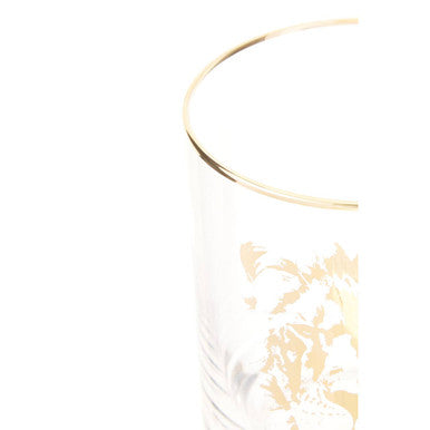 Lion Tumbler | Nomi