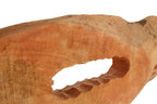 Natural Mango Wood Slice Sculpture | Fidel