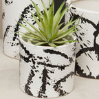 Black and White Small Planter | Sorrell