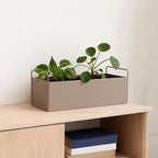 Large Natural Wall Plant Box | Asher