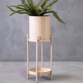 Two Tier Natural Plant Stand | Asher