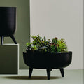 Black Planter | Alina