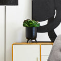 Alina Black Vase