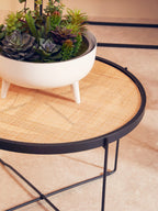 White Planter | Alina