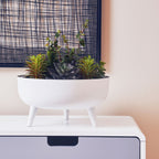 White Planter | Alina