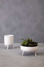 White Planter | Alina
