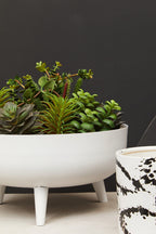 White Planter | Alina
