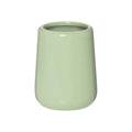 320Ml Pale Green Tumbler | Moon