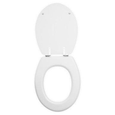 Matte White Toilet Seat | Brooks