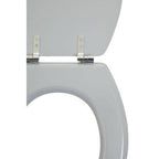 Matte Grey Toilet Seat | Brooks