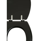 Black Panel Effect Toilet Seat | Brooks