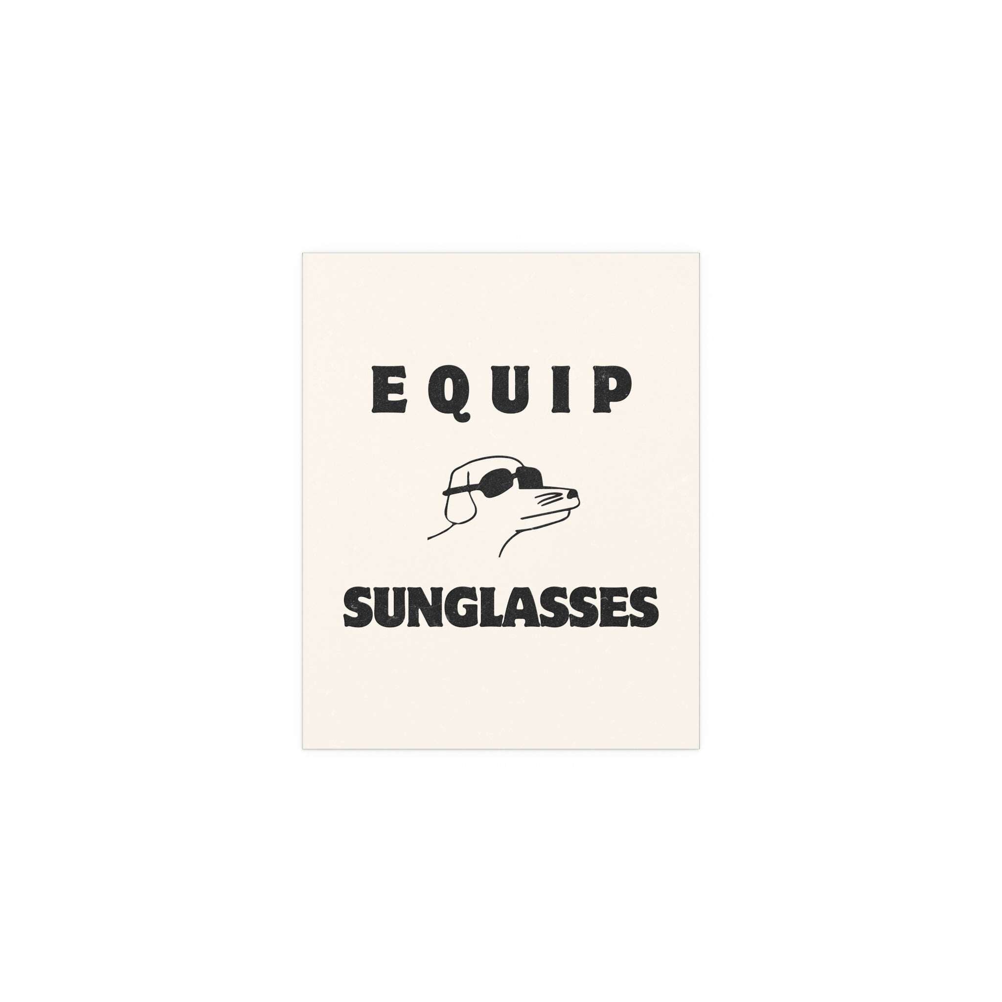 Hot Mulligan x Modern Baseball - Equip Sunglasses