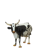 Paper Mache Nguni Cow - 185.2