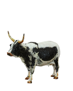 Paper Mache Nguni Cow - 185.4
