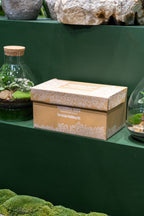 Tall Cork Jar Kit- Large