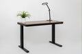 E-Max Electric Height Adjustable Desk Walnut (Wood Top) – Purus Life