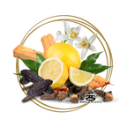 Apollo - Simple Scents Luxe Rosé Noir Wooden Wick Soy Candle