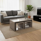 Dark Grey High Gloss Wood Coffee Table with 2 Under Tables | Madrid
