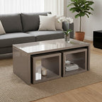 Dark Grey High Gloss Wood Coffee Table with 2 Under Tables | Madrid