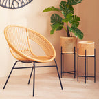 Natural Rattan and Black Iron Chair | Lagom